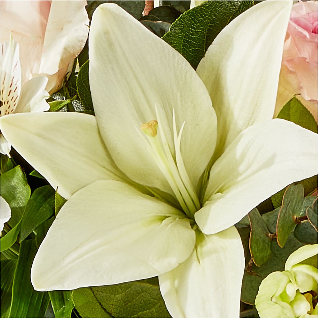 Ballet Slippers Bouquet – MARIA'S FLORAL CREATIONS, Bethel CT