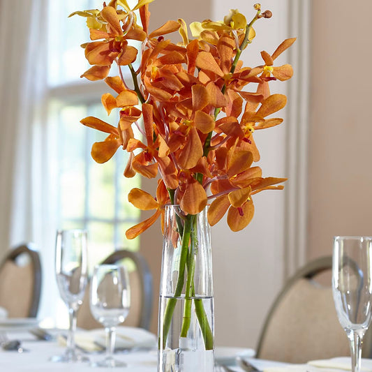 Orange Mokara Bud Vase – MARIA'S FLORAL CREATIONS, Bethel CT