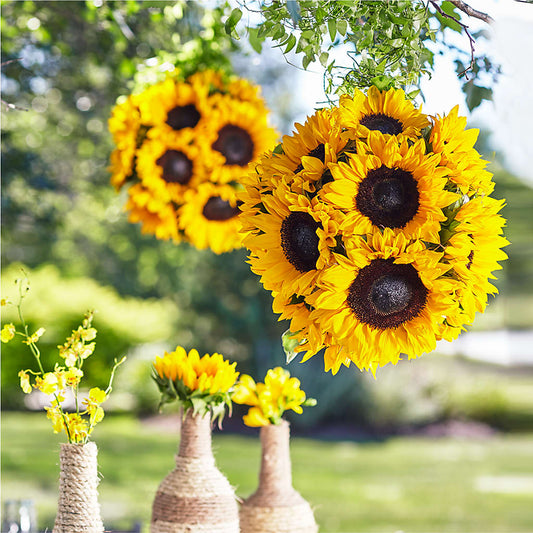 Sublime Garden Hanging Arrangement – MARIA'S FLORAL CREATIONS, Bethel CT