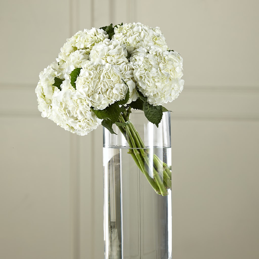 White Hydrangea Hand-Tied Bouquet – MARIA'S FLORAL CREATIONS, Bethel CT