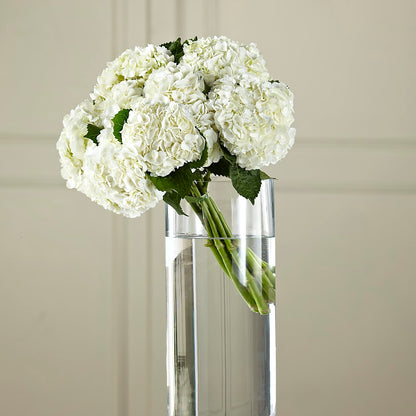 White Hydrangea Hand-Tied Bouquet – MARIA'S FLORAL CREATIONS, Bethel CT