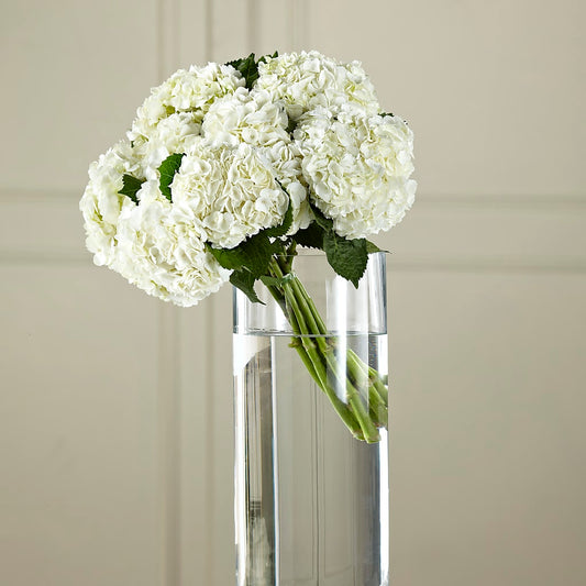 White Hydrangea Hand-Tied Bouquet – MARIA'S FLORAL CREATIONS, Bethel CT