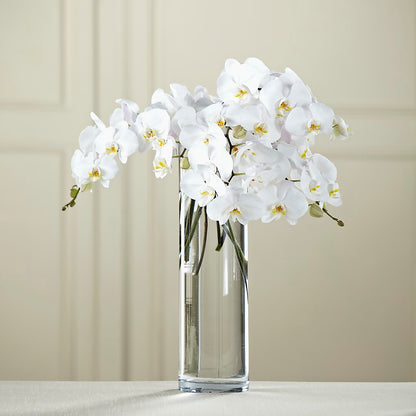White Phalaenopsis Bouquet – MARIA'S FLORAL CREATIONS, Bethel CT