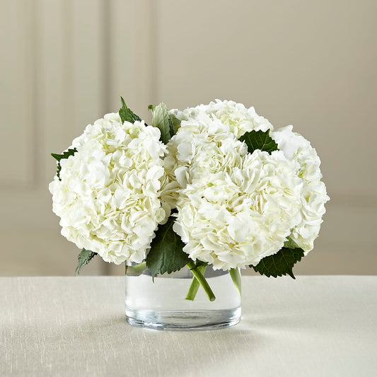 White Hydrangea Bouquet – MARIA'S FLORAL CREATIONS, Bethel CT